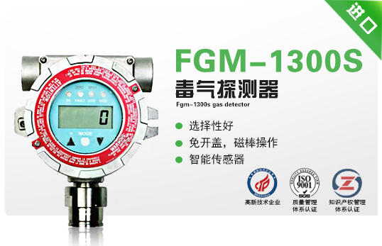 FGM-1300S毒气探测器（RAEGuards EC）
