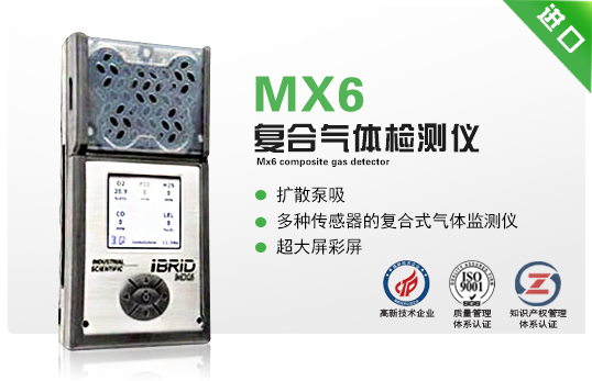 MX6复合气体检测仪